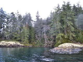 Photo 8: Lot 2 Pearse Island in See Remarks: Isl Small Islands (North Island Area) Land for sale (Islands)  : MLS®# 893955