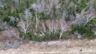 Photo 14: Plateau Road in Chéticamp: 306-Inverness County / Inverness Vacant Land for sale (Highland Region)  : MLS®# 202405435