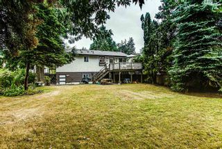Photo 12: 21097 GLENWOOD Avenue in Maple Ridge: Northwest Maple Ridge House for sale : MLS®# R2205159