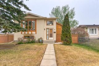 Main Photo: 24 Applewood Drive SE in Calgary: Applewood Park Detached for sale : MLS®# A2049562