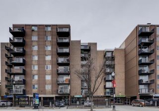 Photo 13: 340 519 17 Avenue SW in Calgary: Cliff Bungalow Apartment for sale : MLS®# A2069480