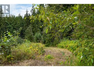 Photo 44: 3381 Trinity Valley Road in Enderby: House for sale : MLS®# 10280938