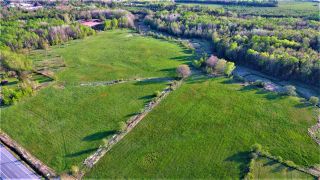 Photo 10: Lot Brooklyn Road in Middleton: 400-Annapolis County Commercial for sale (Annapolis Valley)  : MLS®# 201920414