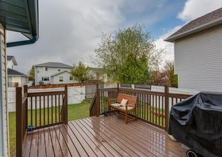 Photo 35: 259 Coventry Close NE in Calgary: Coventry Hills Detached for sale : MLS®# A2048008