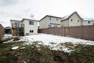 Photo 24: 40 Copperfield Heights SE in Calgary: Copperfield Detached for sale : MLS®# A2123817