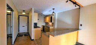 Photo 6: 5D 515 17 Avenue SW in Calgary: Cliff Bungalow Apartment for sale : MLS®# A2023329