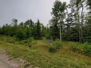 Photo 2: Lot 12 Fundy Bay Drive in Victoria Harbour: 404-Kings County Vacant Land for sale (Annapolis Valley)  : MLS®# 202119692
