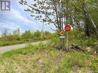 Photo 8: -- Gaines Road in Rollingdam: Vacant Land for sale : MLS®# NB073095