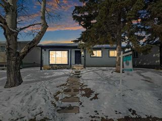Main Photo: 227 Queensland Circle SE in Calgary: Queensland Detached for sale : MLS®# A2112688
