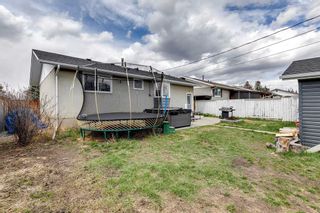 Photo 34: 9944 Warren Road SE in Calgary: Willow Park Detached for sale : MLS®# A2127534