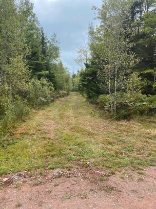 Photo 3: Acreage in Westchester: 103-Malagash, Wentworth Vacant Land for sale (Northern Region)  : MLS®# 202317570