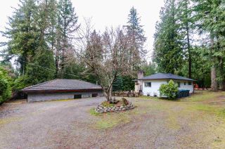 Photo 15: 13613 28 Avenue in Surrey: Elgin Chantrell House for sale (South Surrey White Rock)  : MLS®# R2431232