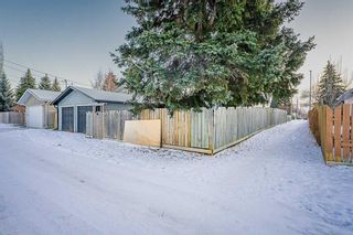 Photo 4: 68 Bennett Crescent NW in Calgary: Brentwood Detached for sale : MLS®# A2106801
