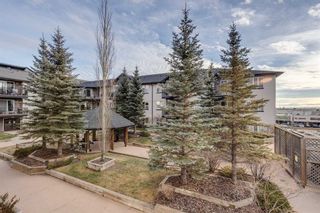 Photo 21: 302 1727 54 Street SE in Calgary: Penbrooke Meadows Apartment for sale : MLS®# A2097125