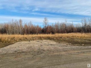 Photo 1: Twp 484 RR 60: Rural Brazeau County Vacant Lot/Land for sale : MLS®# E4323598