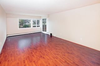 Photo 16: 110 11240 DANIELS Road in Richmond: East Cambie Condo for sale in "DANIELS MANOR" : MLS®# R2741531
