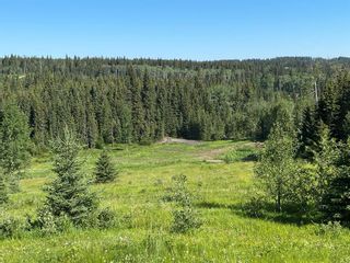 Photo 12: Lot 4 on south side of Jamieson Road in Rural Bighorn No. 8, M.D. of: Rural Bighorn M.D. Residential Land for sale : MLS®# A2021260