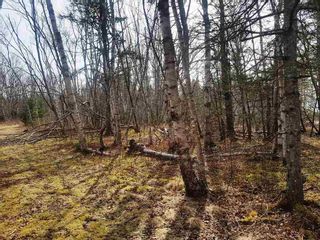 Photo 2: LOT 15 Fundy Bay Drive in Victoria Harbour: 404-Kings County Vacant Land for sale (Annapolis Valley)  : MLS®# 202105997