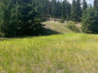 Photo 4: 6935 CARIBOO HWY 97: Clinton Lots/Acreage for sale (North West)  : MLS®# 170753