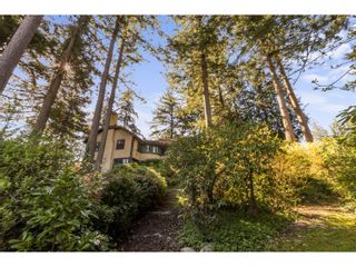 Photo 11: 1611 DRUMMOND Drive in Vancouver: Point Grey House for sale (Vancouver West)  : MLS®# R2729300