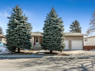 Photo 1: 1314 35 Street SE in Calgary: Albert Park/Radisson Heights Detached for sale : MLS®# A1081075