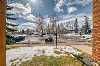Photo 39: 213 6400 Coach Hill Road SW in Calgary: Coach Hill Apartment for sale : MLS®# A2121082