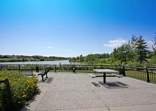 Photo 37: 4319 10 Prestwick Bay SE in Calgary: McKenzie Towne Apartment for sale : MLS®# A1164509