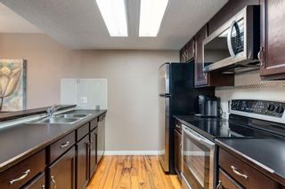 Photo 6: 506 2011 University Drive NW in Calgary: University Heights Apartment for sale : MLS®# A2129025