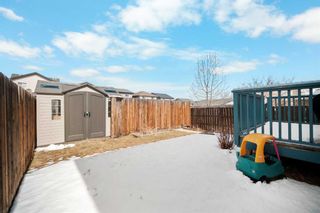 Photo 33: 33 Panora Hill NW in Calgary: Panorama Hills Detached for sale : MLS®# A2124569