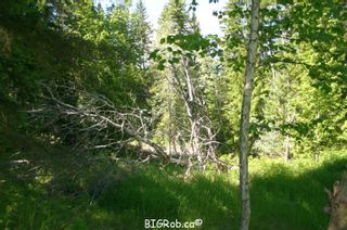 Photo 36: 4827 Goodwin Road in Eagle Bay: Vacant Land for sale : MLS®# 10116745