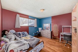Photo 23: 3431 32A Avenue SE in Calgary: Dover Detached for sale : MLS®# A2126947