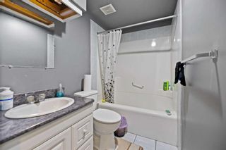 Photo 31: 28 Coral Springs Close NE in Calgary: Coral Springs Detached for sale : MLS®# A2120341