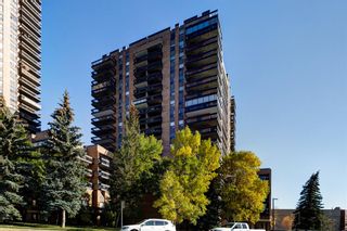 Photo 29: 313 9800 Horton Road SW in Calgary: Haysboro Apartment for sale : MLS®# A2006085