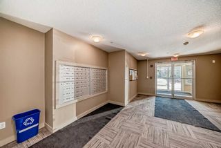 Photo 24: 4117 403 Mackenzie Way SW: Airdrie Apartment for sale : MLS®# A2132855