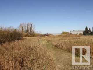 Photo 1: 6003 49 Street: Tofield Vacant Lot for sale : MLS®# E4265967