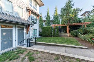 Photo 21: 159 6671 121 Street in Surrey: West Newton Townhouse for sale in "SALUS" : MLS®# R2492392