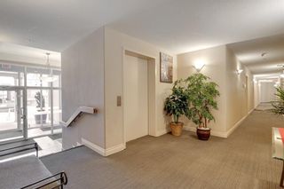 Photo 25: 306 1919 31 Street SW in Calgary: Killarney/Glengarry Apartment for sale : MLS®# A1117085