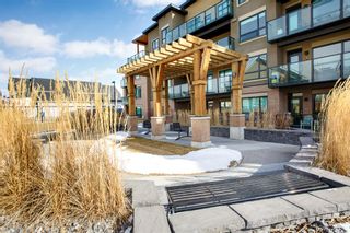 Photo 27: 312 145 Burma Star Road SW in Calgary: Currie Barracks Apartment for sale : MLS®# A1192053