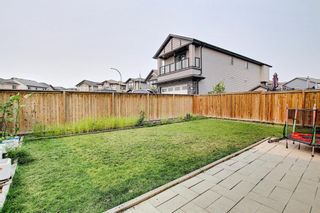 Photo 40: 509 Skyview Ranch Way NE in Calgary: Skyview Ranch Detached for sale : MLS®# A1139222