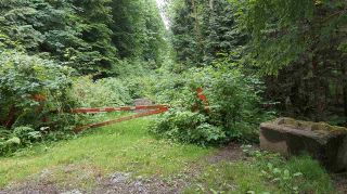 Photo 5: 14.65AC BARRETT STREET in Mission: Mission BC Land for sale in "Silverhill" : MLS®# R2079511