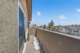 Photo 32: 54 Templeson Crescent NE in Calgary: Temple Detached for sale : MLS®# A1209968