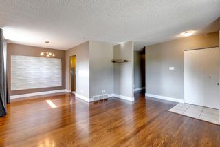 Photo 17: 9559 Assiniboine Road SE in Calgary: Acadia Detached for sale : MLS®# A2053426