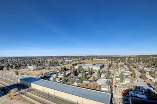 Photo 29: 213 8710 Horton Road SW in Calgary: Haysboro Apartment for sale : MLS®# A1203025