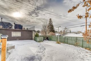 Photo 30: 91 Cumberland Drive NW in Calgary: Cambrian Heights Detached for sale : MLS®# A2020911