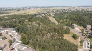 Photo 10: 40 BLACKBURN Drive in Edmonton: Zone 55 House for sale : MLS®# E4380503