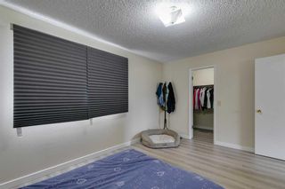 Photo 26: 1-4 4832 Voyageur Drive NW in Calgary: Varsity 4 plex for sale : MLS®# A2125555