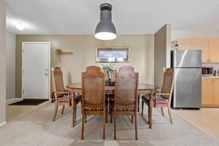 Photo 17: 2316 2600 66 Street NE in Calgary: Pineridge Apartment for sale : MLS®# A2122941