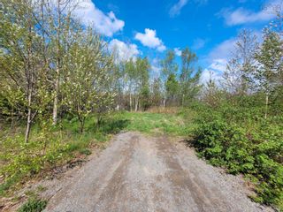 Photo 3: Hillcrest Drive in Conway: Digby County Vacant Land for sale (Annapolis Valley)  : MLS®# 202210563