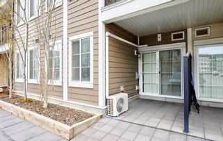 Photo 23: 4115 215 Legacy Boulevard SE in Calgary: Legacy Apartment for sale : MLS®# A1213731