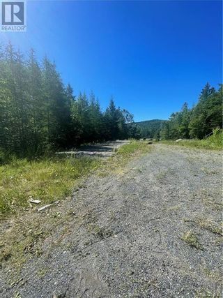 Photo 3: 1137 Route 170 in Oak Bay: Vacant Land for sale : MLS®# NB075049